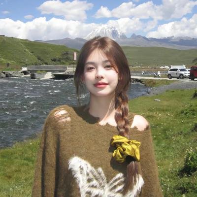 追凶双雄